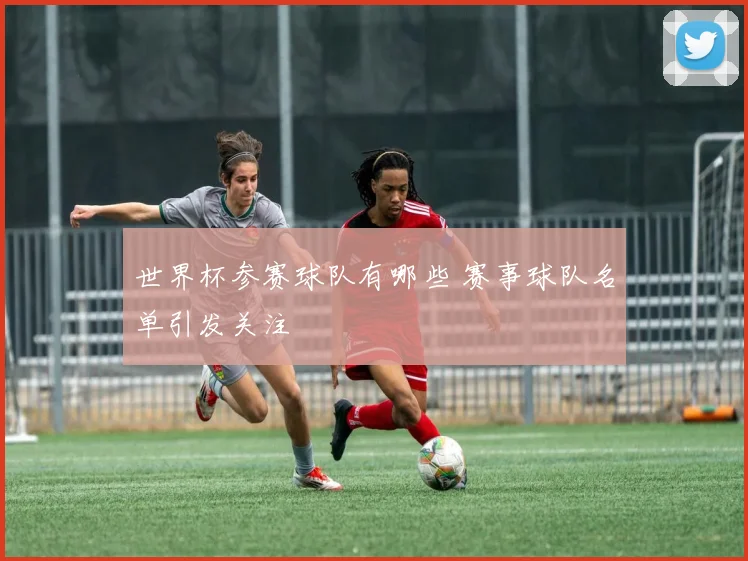 世界杯参赛球队有哪些 赛事球队名单引发关注