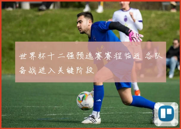 世界杯十二强预选赛赛程临近 各队备战进入关键阶段