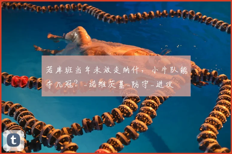 若库班当年未放走纳什,小牛队能夺几冠?_诺维茨基_防守_进攻