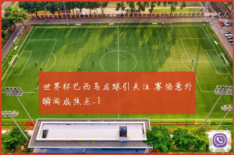 世界杯巴西乌龙球引关注 赛场意外瞬间成焦点_1