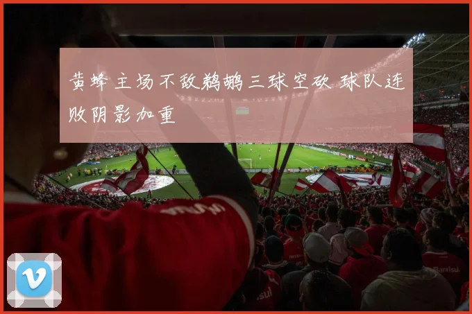 黄蜂主场不敌鹈鹕三球空砍 球队连败阴影加重