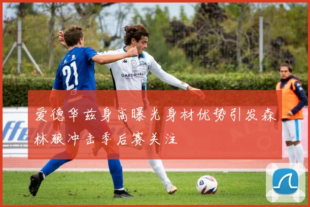 爱德华兹身高曝光身材优势引发森林狼冲击季后赛关注