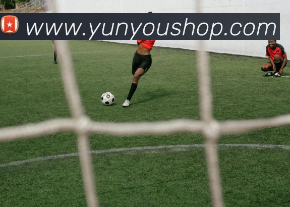 买球官方APP 高清赛事图